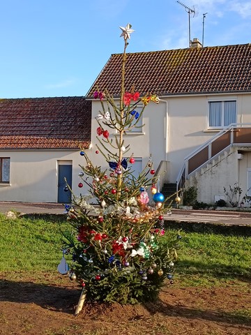 Comete terrain communal de Vieux-fumé